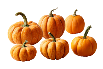 Group of five assorted pumpkins with textured orange surfaces and green stems