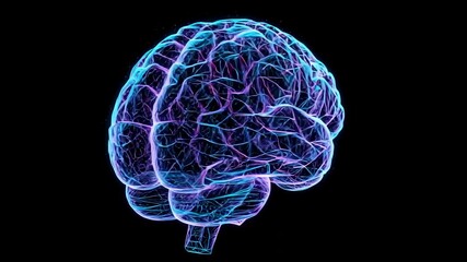 3D rotating digital brain model with glowing neon lights, showcasing complex neural networks in a futuristic design - Powered by Adobe