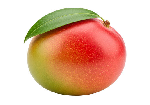 Close-up of a Fresh, Juicy mango fruit with a vibrant red and green gradient on a black background