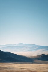Vast desert landscape under clear blue sky, soft shadows on sand