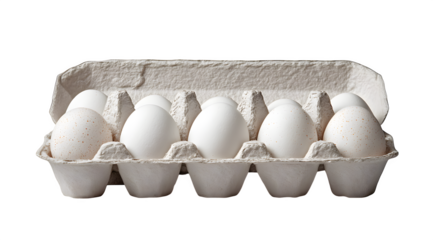 Fresh dozen white eggs nestled securely in a textured cardboard carton ready for your culinary creations and recipes.