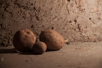 still life potatoes. Modern art. Potatoes in the basement