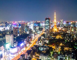 Fototapeta premium Tokyo city skyline at night