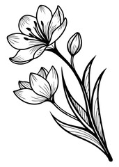 Simple and elegant outline of a blooming flower, monochrome sketch perfect for logos, labels and artistic projects