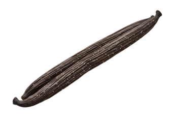 Close-up of a starry, elongated celestial object resembling a cosmic ribbon with shimmering points