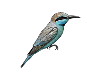 Close-up of a vibrant blue and brown bird perched on a black background with detailed feathers and