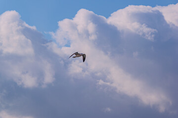 暑い雲
