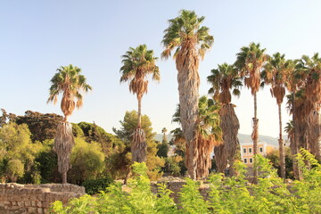 Fortress Antimachia, Greece