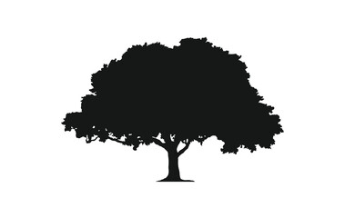 Tree sillhouette. Big tree isolated icon. Nature icon. 