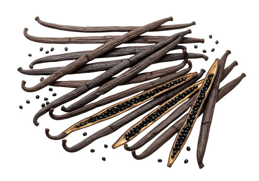 Close-up of black vanilla beans with seeds on a dark background for culinary use