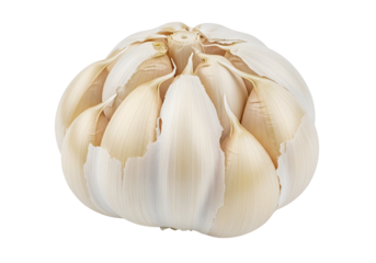 Close-up of fresh garlic bulb with partially peeled cloves on a black background