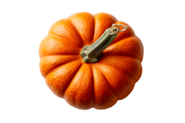 Bright orange pumpkin with green stem