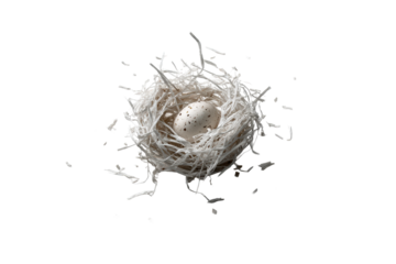 Speckled egg resting in a delicate nest of white strands on a plain background