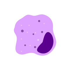 Macrophage Phagocytosing Illustration 