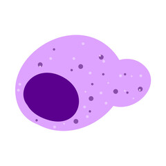 Macrophage Phagocytosing Illustration 