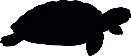 Black sea turtle silhouette