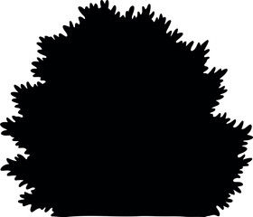 Black silhouette of lush green bush