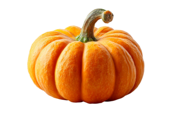 Orange gourd with curved green stem and textured surface on white