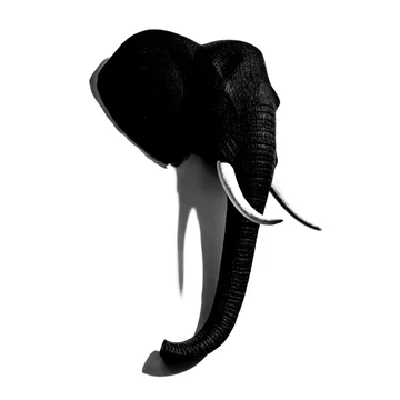 Striking Black and White Elephant Head with Tusk on Wall