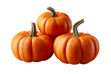 Three ripe orange pumpkins stacked together against a white background