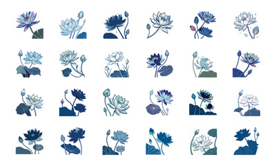 Beautiful Collection of 24 Colorful Hand-Drawn Floral Illustrations Featuring Roses, Tulips, Daisies, Lilies, Hibiscus, Marigolds, Orchids, Jasmine, and Pansies in Elegant Botanical Styles for Decorat