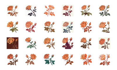 Beautiful Collection of 24 Colorful Hand-Drawn Floral Illustrations Featuring Roses, Tulips, Daisies, Lilies, Hibiscus, Marigolds, Orchids, Jasmine, and Pansies in Elegant Botanical Styles for Decorat