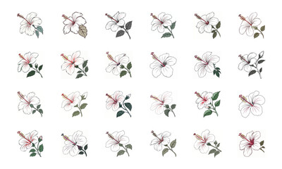 Beautiful Collection of 24 Colorful Hand-Drawn Floral Illustrations Featuring Roses, Tulips, Daisies, Lilies, Hibiscus, Marigolds, Orchids, Jasmine, and Pansies in Elegant Botanical Styles for Decorat