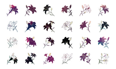 Beautiful Collection of 24 Colorful Hand-Drawn Floral Illustrations Featuring Roses, Tulips, Daisies, Lilies, Hibiscus, Marigolds, Orchids, Jasmine, and Pansies in Elegant Botanical Styles for Decorat