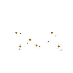 Freckle Illustration