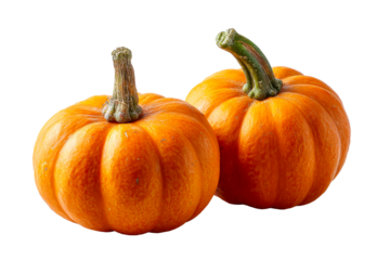 Two Round Orange Pumpkins with Green Stems on White Background