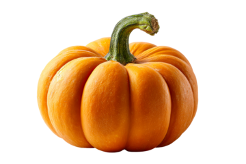 Bright orange pumpkin with smooth skin and stem