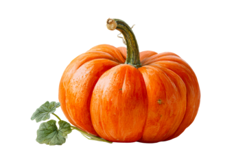 Bright orange pumpkin with green stem and leaf
