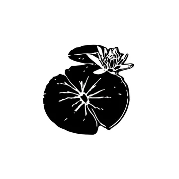 gobo texture shadows high contrast lotus leaves and blossoms in pure monochrome design