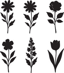 vector set of silhouttee  diverse flower silhouettes in a minimalistic design style showcasing various shapes and forms on white background