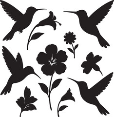 vector set of silhouttee hummingbird and flower on white background