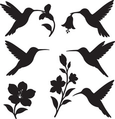 vector set of silhouttee hummingbird and flower on white background