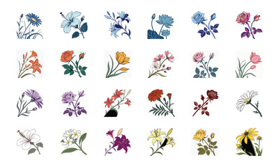 Beautiful Collection of 24 Colorful Hand-Drawn Floral Illustrations Featuring Roses, Tulips, Daisies, Lilies, Hibiscus, Marigolds, Orchids, Jasmine, and Pansies in Elegant Botanical Styles for Decorat