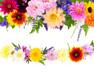 Loose and Flowing Flower Border with Vibrant Colors, Side Angle View, Isolated