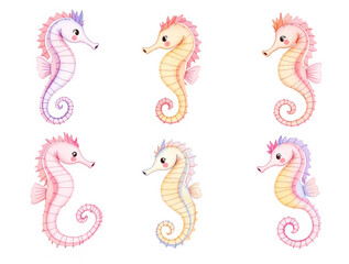 Fototapeta premium Sea horse set watercolor