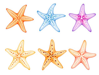 Sea star set watercolor, starfish watercolor clipart
