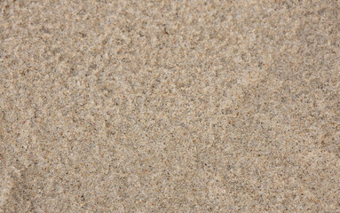 sand texture background macro photo of wet sand on the seashore