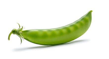 Single green snow pea pod on white background