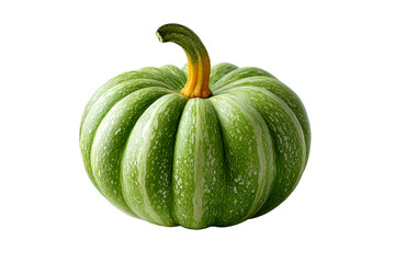 Green striped pumpkin on a clear bg