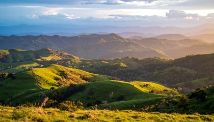 Lush rolling hills at golden hour