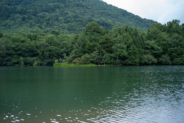 夏の奥日光　湯の湖の風景