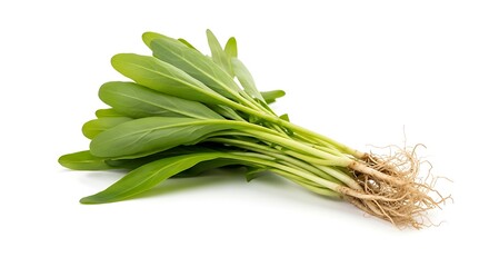 Fresh bunch of leafy green vegetables with roots on a white background