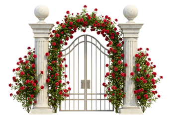 Elegant wrought iron gates adorned with lush red roses and greenery creating a romantic entrance transparent background