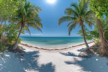 Fototapeta premium A serene tropical beach scene with palm trees framing turquoise water under a bright, sunny sky.