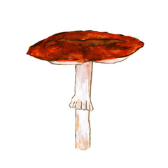 Capturing a vibrant red mushroom with a thick white stalk nestled in the forest floor, showcasing the beauty of nature in autumn. The contrasting colors add depth and intrigue.