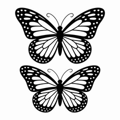 Obraz premium Two monarch butterfly silhouettes with detailed wing patterns isolated on white background